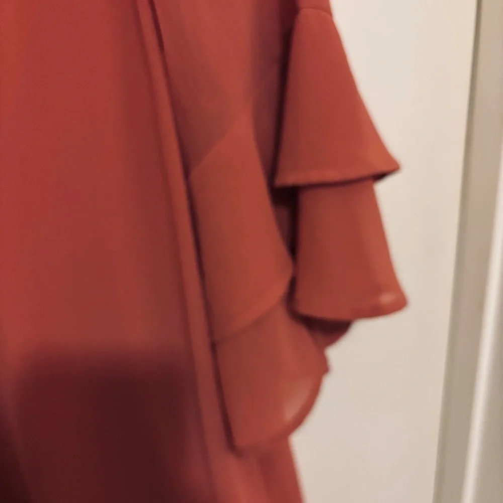 Monteau Women's Ruffle Sleeve Blouse - Rust - Picture 4 of 6